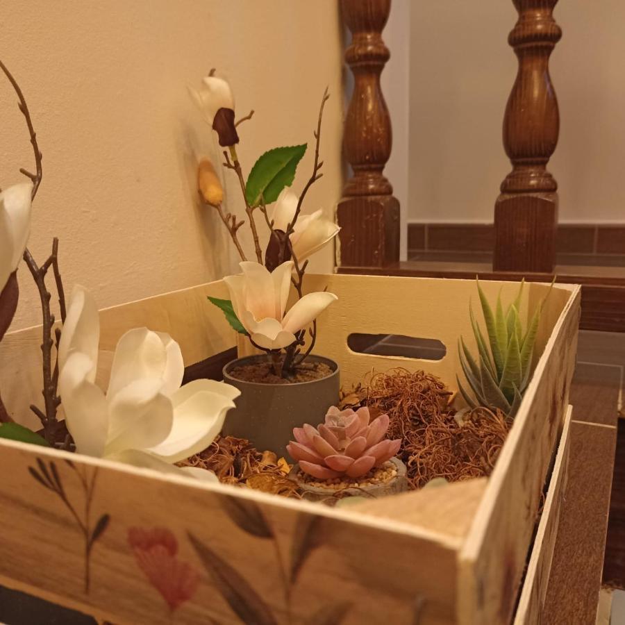 El Cascanueces - Casa Rural กันเดลาริโอ ภายนอก รูปภาพ